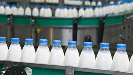 dairy-vertical-cat