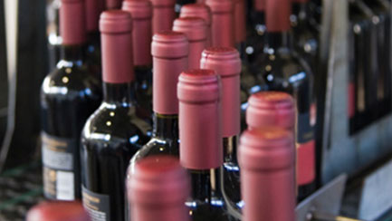 beverage-wine-bottles-cat