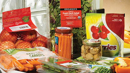 fruits-vegetables-substrate-cat